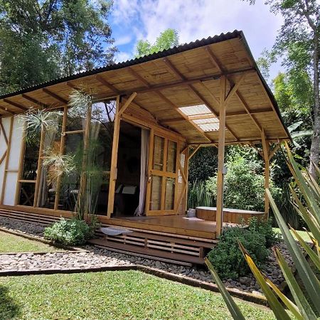 Exclusivo Cocora Con Jacuzzi Salento Quindio Villa Bagian luar foto