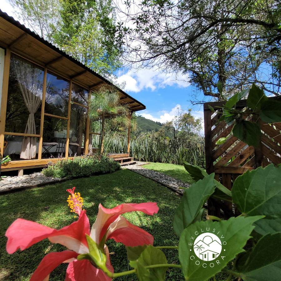 Exclusivo Cocora Con Jacuzzi Salento Quindio Villa Bagian luar foto
