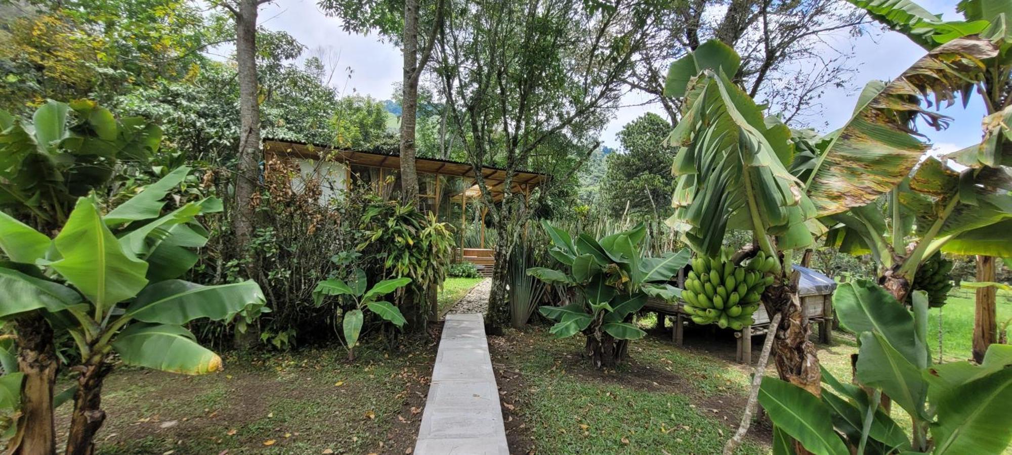 Exclusivo Cocora Con Jacuzzi Salento Quindio Villa Bagian luar foto