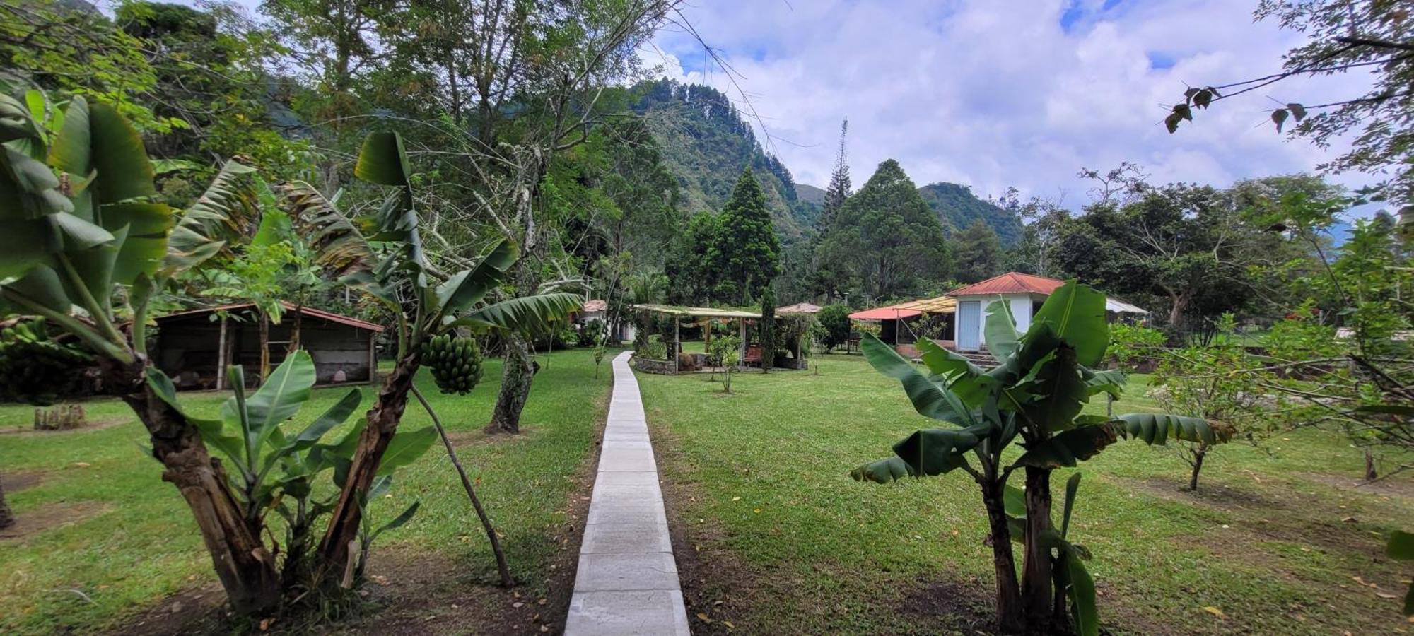 Exclusivo Cocora Con Jacuzzi Salento Quindio Villa Bagian luar foto