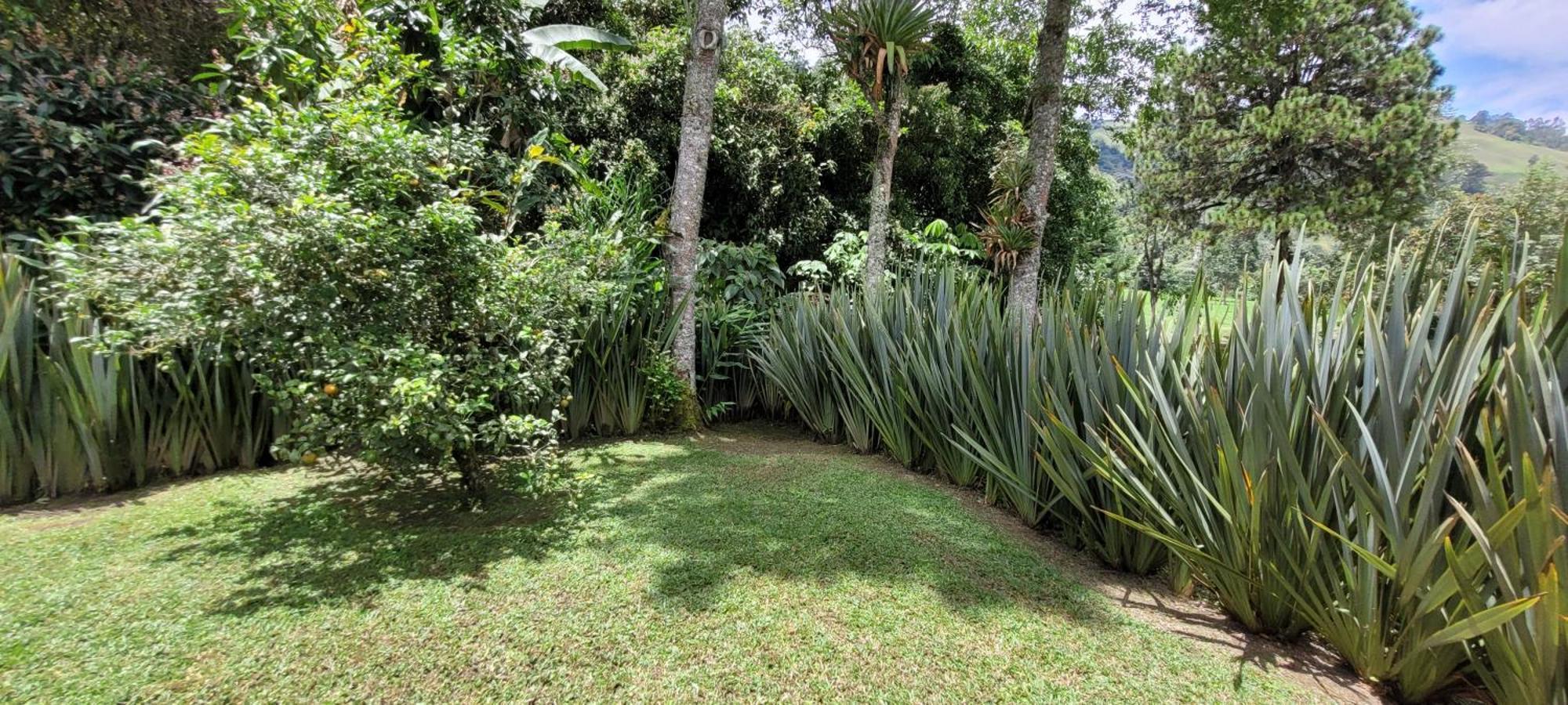 Exclusivo Cocora Con Jacuzzi Salento Quindio Villa Bagian luar foto
