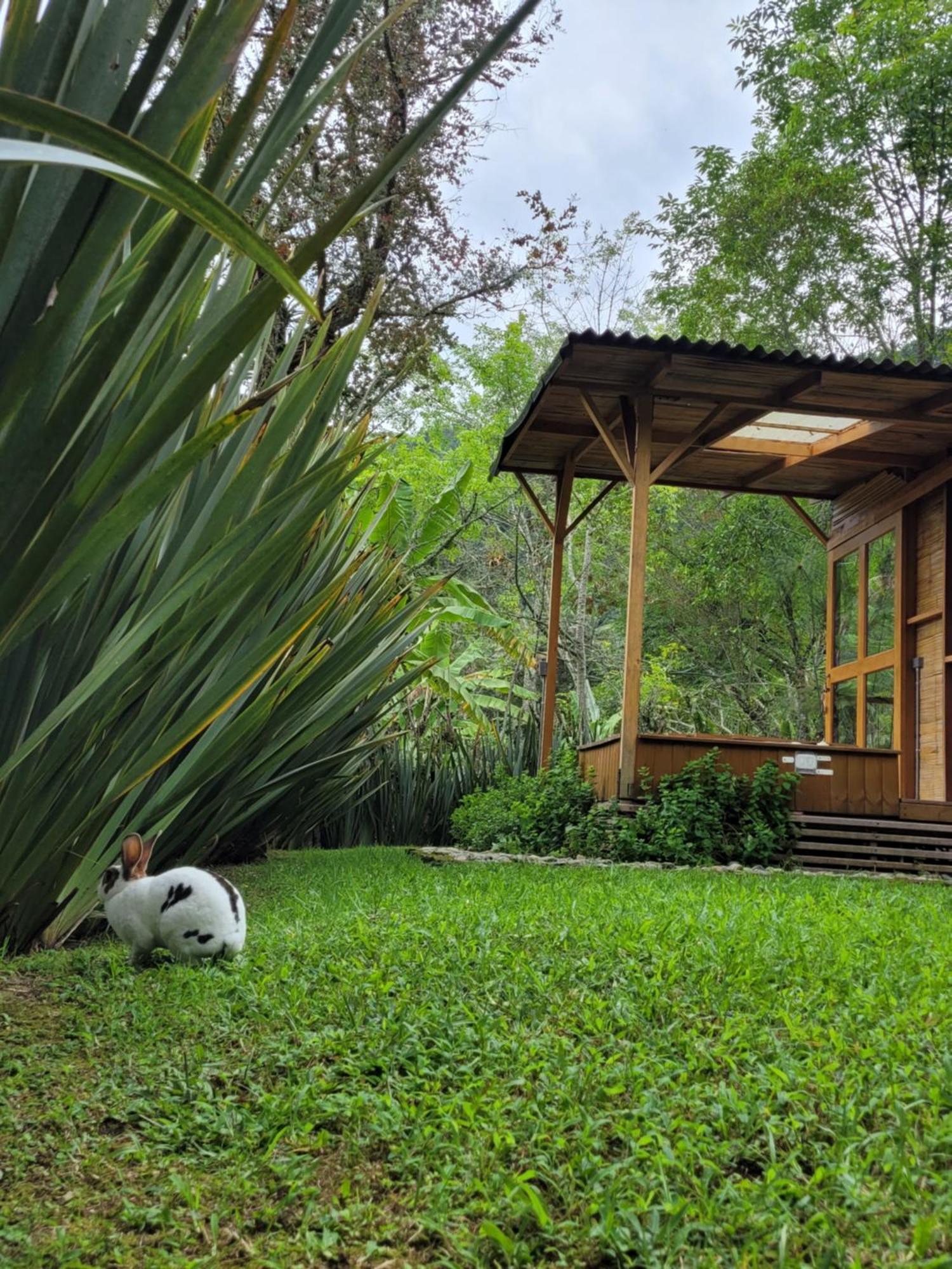 Exclusivo Cocora Con Jacuzzi Salento Quindio Villa Bagian luar foto